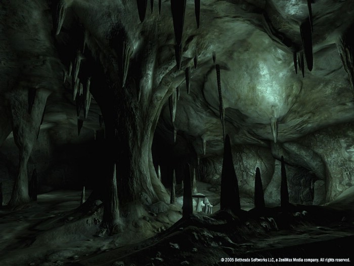The Elder Scrolls 4: Oblivion İndir ekran görüntüsü 1