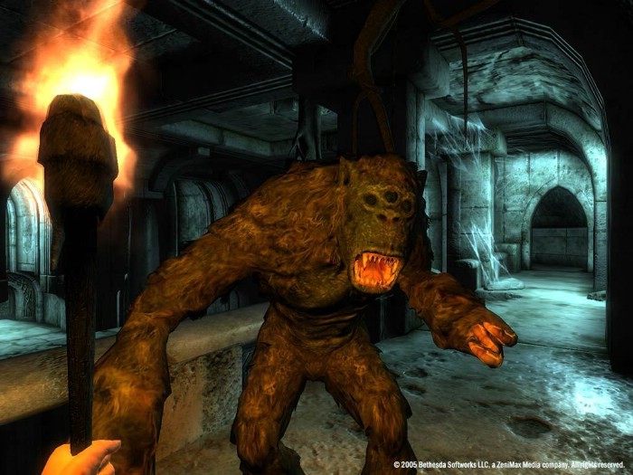 The Elder Scrolls 4: Oblivion İndir ekran görüntüsü 6
