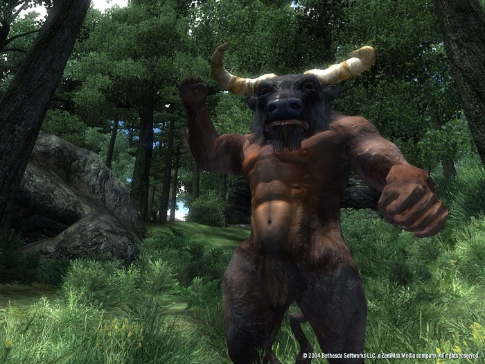 The Elder Scrolls 4: Oblivion İndir ekran görüntüsü 7