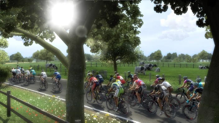 Pro Cycling Manager 2014 İndir ekran görüntüsü 7