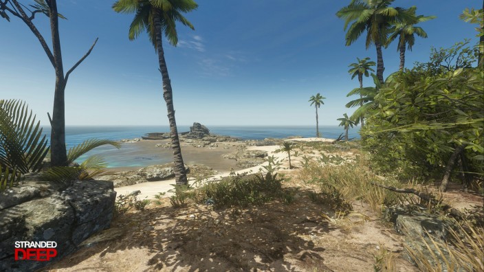 Stranded Deep İndir ekran görüntüsü 4