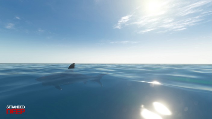 Stranded Deep İndir ekran görüntüsü 7