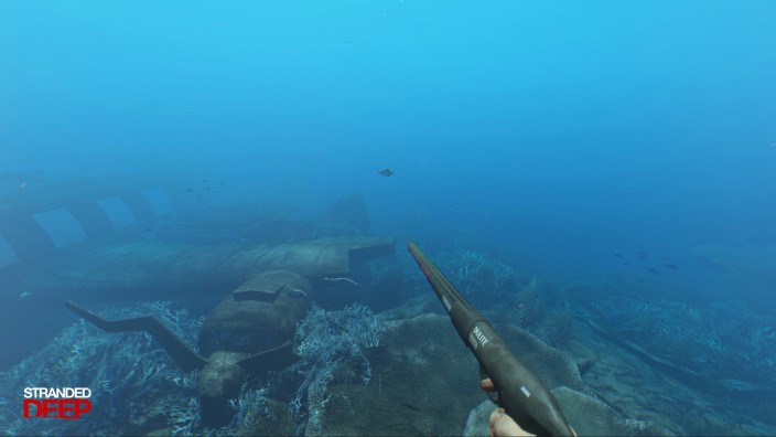 Stranded Deep İndir ekran görüntüsü 3