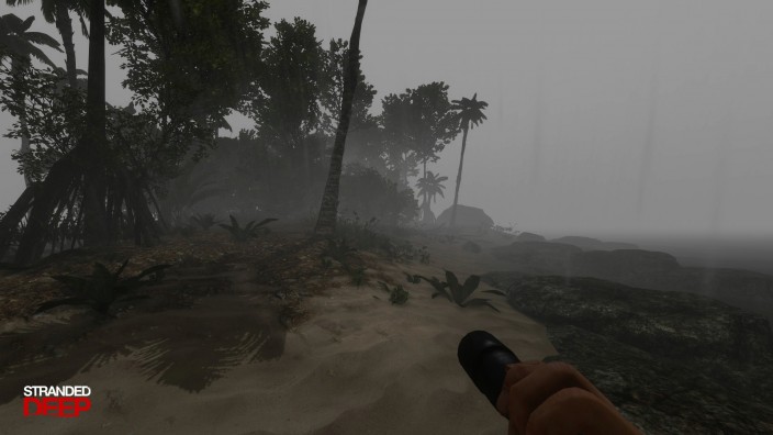 Stranded Deep İndir ekran görüntüsü 2