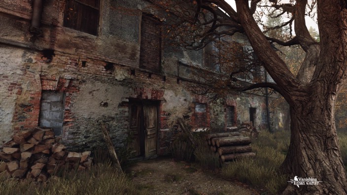 The Vanishing of Ethan Carter İndir ekran görüntüsü 4