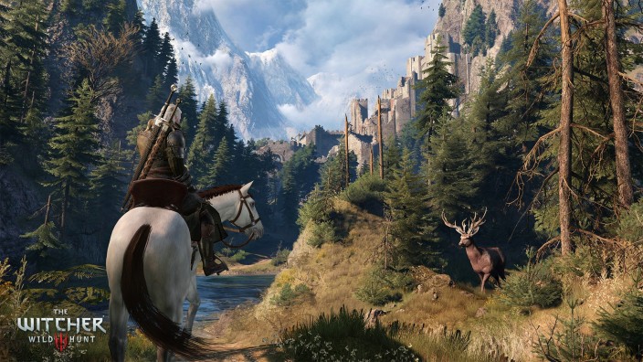 The Witcher 3: Wild Hunt İndir ekran görüntüsü 11