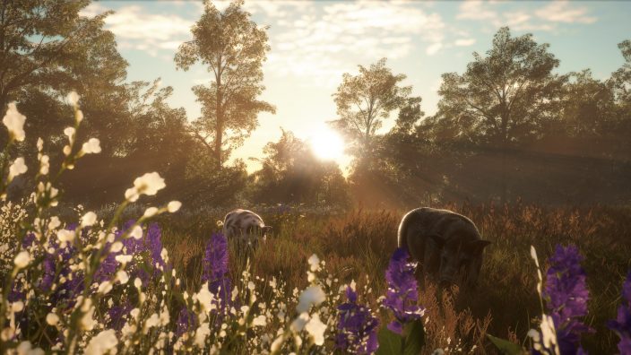 theHunter: Call of the Wild – Mississippi Acres Preserve İndir ekran görüntüsü 1