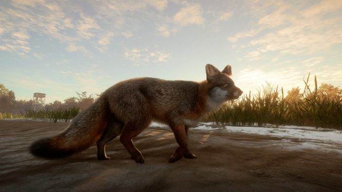 theHunter: Call of the Wild – Mississippi Acres Preserve İndir ekran görüntüsü 3