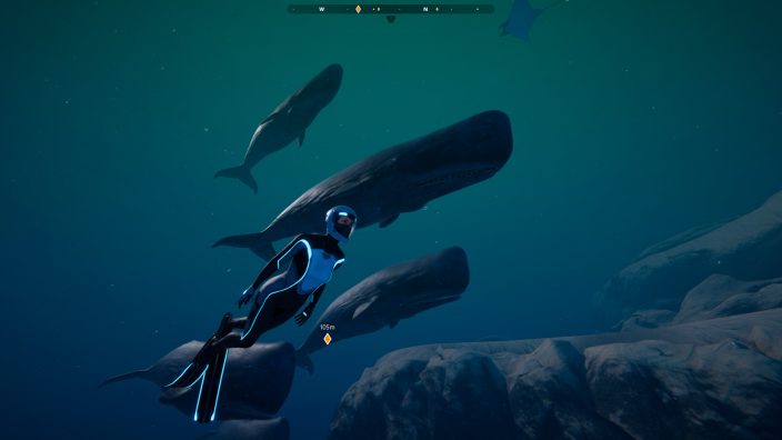 Beyond Blue İndir ekran görüntüsü 2