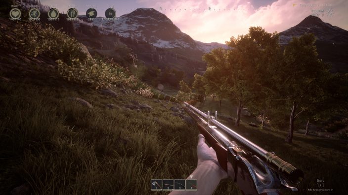 Outlaws of the Old West İndir ekran görüntüsü 7