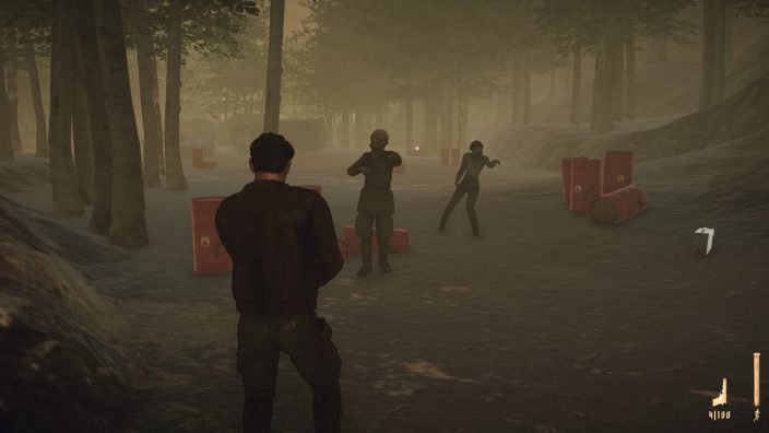 Valley of the Dead: MalnaZidos İndir ekran görüntüsü 3