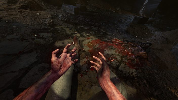 Amnesia: Rebirth İndir ekran görüntüsü 2