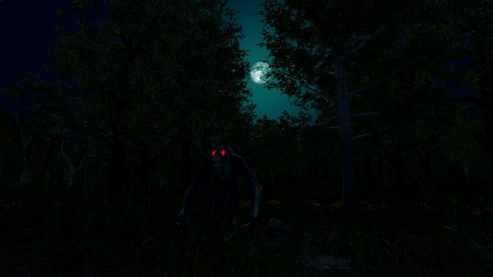 Trials of Wilderness İndir ekran görüntüsü 4