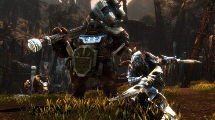 Kingdoms of Amalur Re Reckoning İndir ekran görüntüsü 3