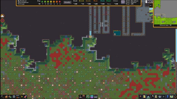 Dwarf Fortress İndir ekran görüntüsü 2