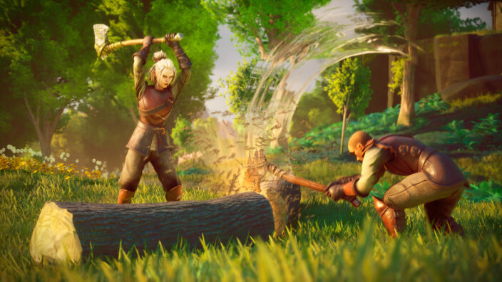 RuneScape Dragonwilds İndir ekran görüntüsü 1