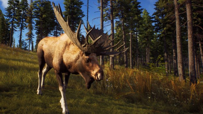 Way of the Hunter İndir ekran görüntüsü 4