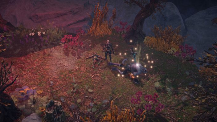 Disciples: Liberation – Paths to Madness İndir ekran görüntüsü 2