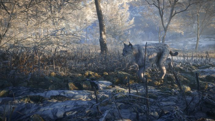theHunter: Call of the Wild – 2019 Edition İndir ekran görüntüsü 2