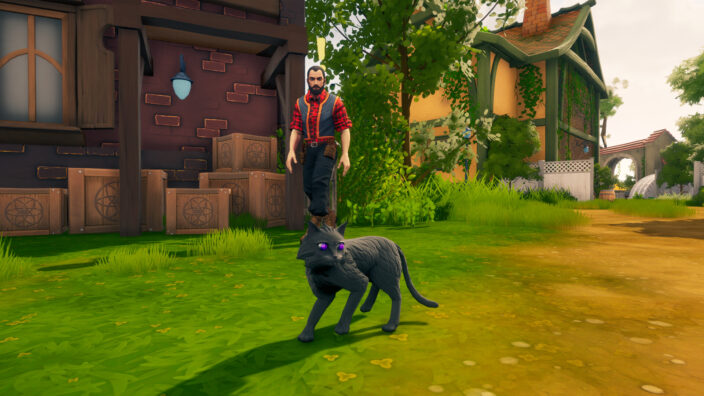 The Witch of Fern Island İndir ekran görüntüsü 2