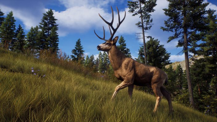 Way of the Hunter İndir ekran görüntüsü 3