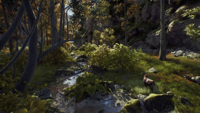 Way of the Hunter İndir ekran görüntüsü 2