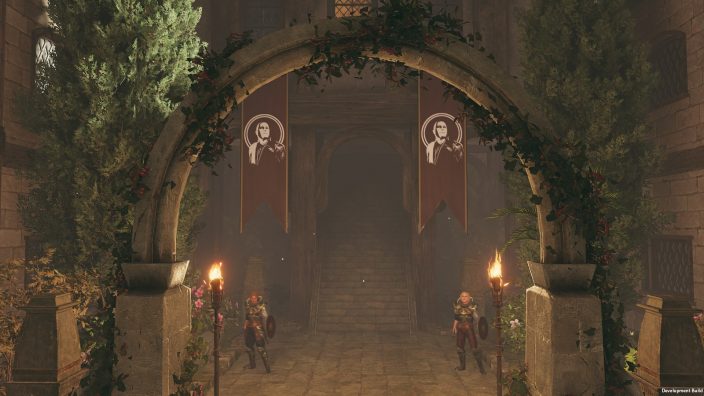 Solasta: Crown of the Magister – Lost Valley İndir ekran görüntüsü 1