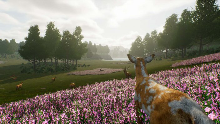 Deer Journey İndir ekran görüntüsü 2