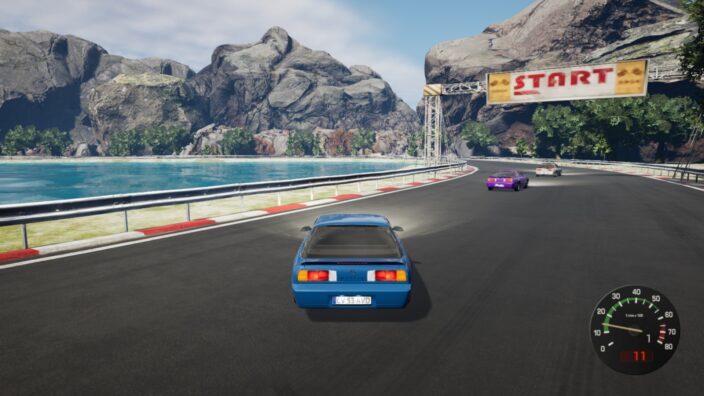 307 Racing İndir ekran görüntüsü 3