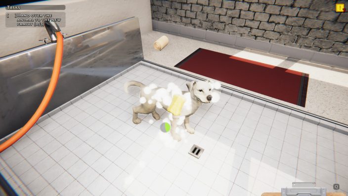 Animal Shelter İndir ekran görüntüsü 4