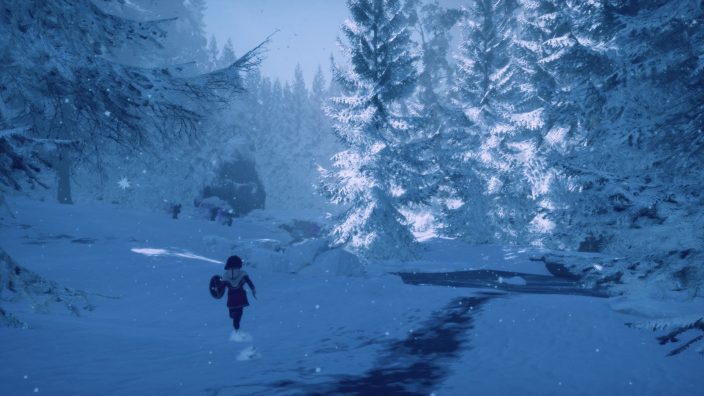 Skabma – Snowfall İndir ekran görüntüsü 4