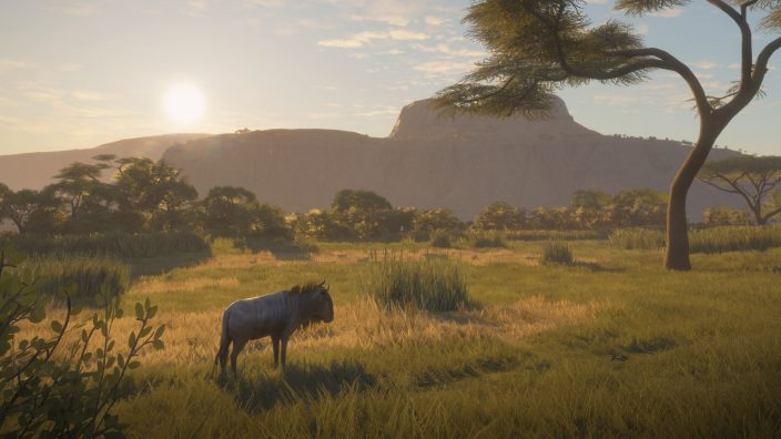 theHunter: Call of the Wild – 2019 Edition İndir ekran görüntüsü 6