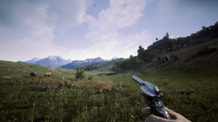 Outlaws of the Old West İndir ekran görüntüsü 6