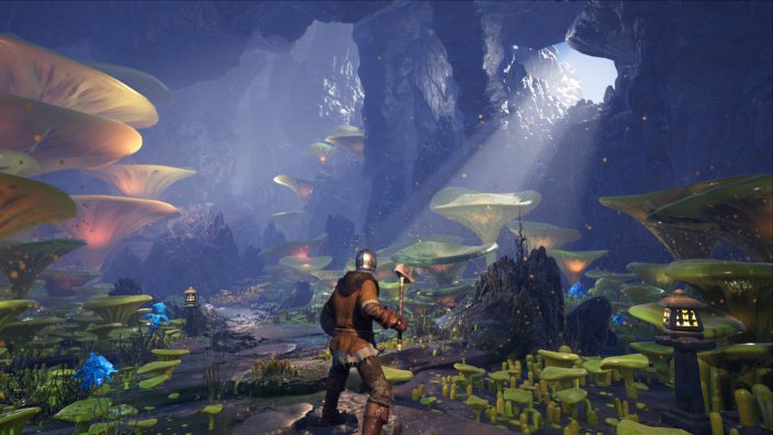 Dungeons of Edera İndir ekran görüntüsü 1
