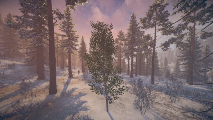 Birch Simulator İndir ekran görüntüsü 4