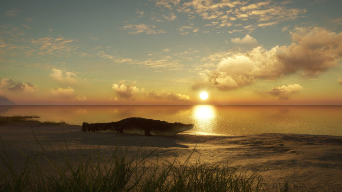 theHunter Call of the Wild Emerald Coast Australia İndir ekran görüntüsü 2