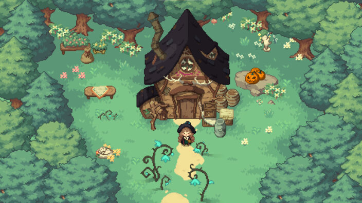 Little Witch in the Woods İndir ekran görüntüsü 1