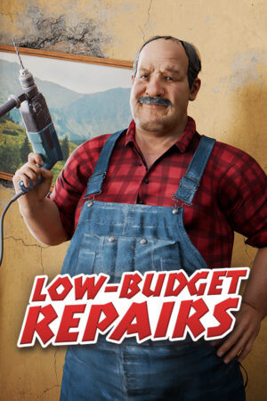 Low Budget Repairs İndir kapak görseli
