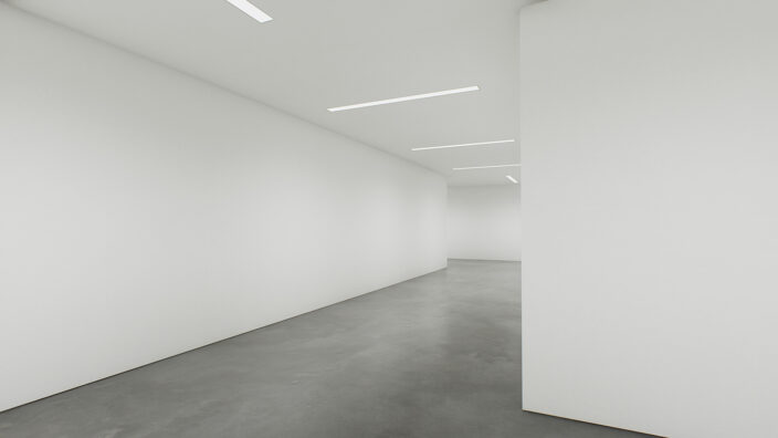 Twisted Gallery İndir ekran görüntüsü 4