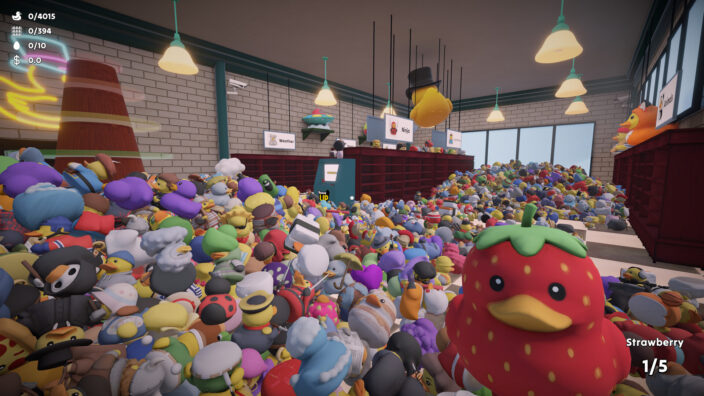 Sort Them Ducks İndir ekran görüntüsü 1