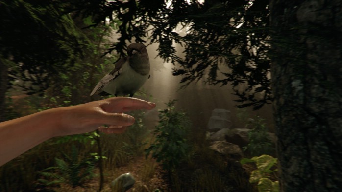 The Forest İndir ekran görüntüsü 6