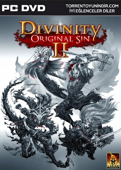 Divinity: Original Sin 2 İndir kapak görseli