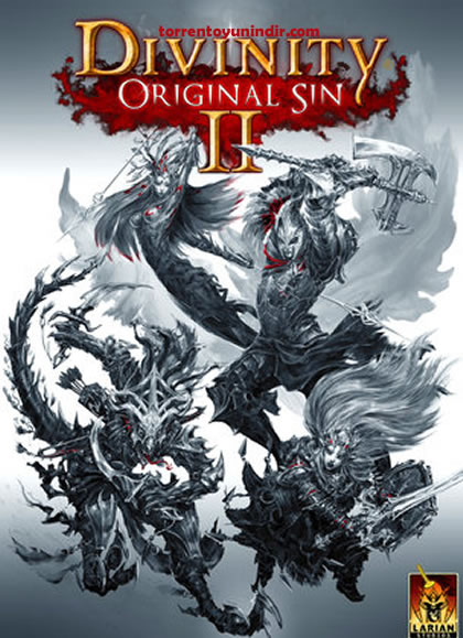 Divinity: Original Sin 2 İndir kapak görseli