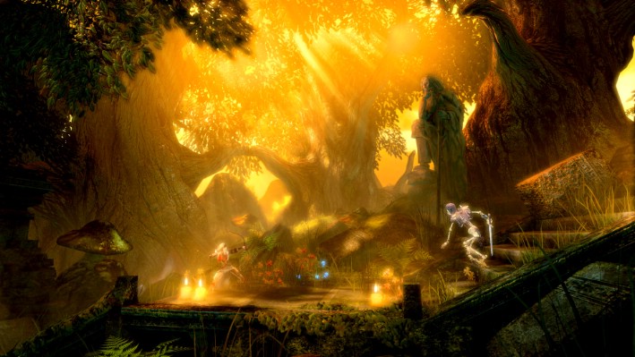 Trine Enchanted Edition İndir ekran görüntüsü 5